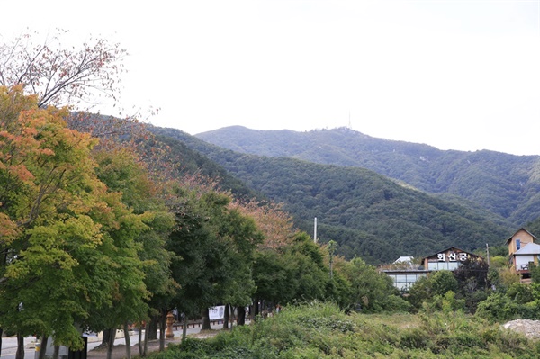 멀리 모악산 정상이 보인다  모악산(795m)은 전북 완주군 구이와 김제군 사이에 있다. 전주에서 자전거로 한 시간 거리다. 