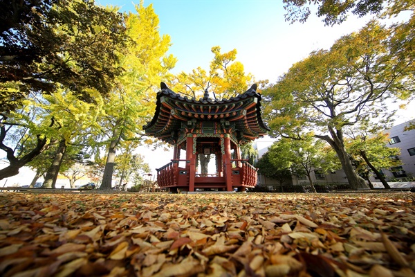  양유정(梁柳亭)은 서산시 읍내동에 있는 조선 시대 정자로 육각 모양을 지녔으며, 옛날 정자 주변에 버드나무가 많아 생겨난 이름으로 알려져 있다.