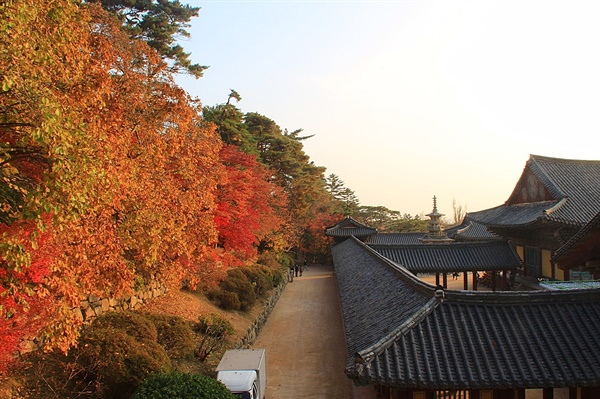  불국사  관음전 앞마당 사진 포인트