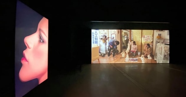    국립현대미술관 '올해의 작가상 2020' 전시장, 리얼돌을 소재로 한 정윤석 작가의 작품 '내일'이 전시 중이다.