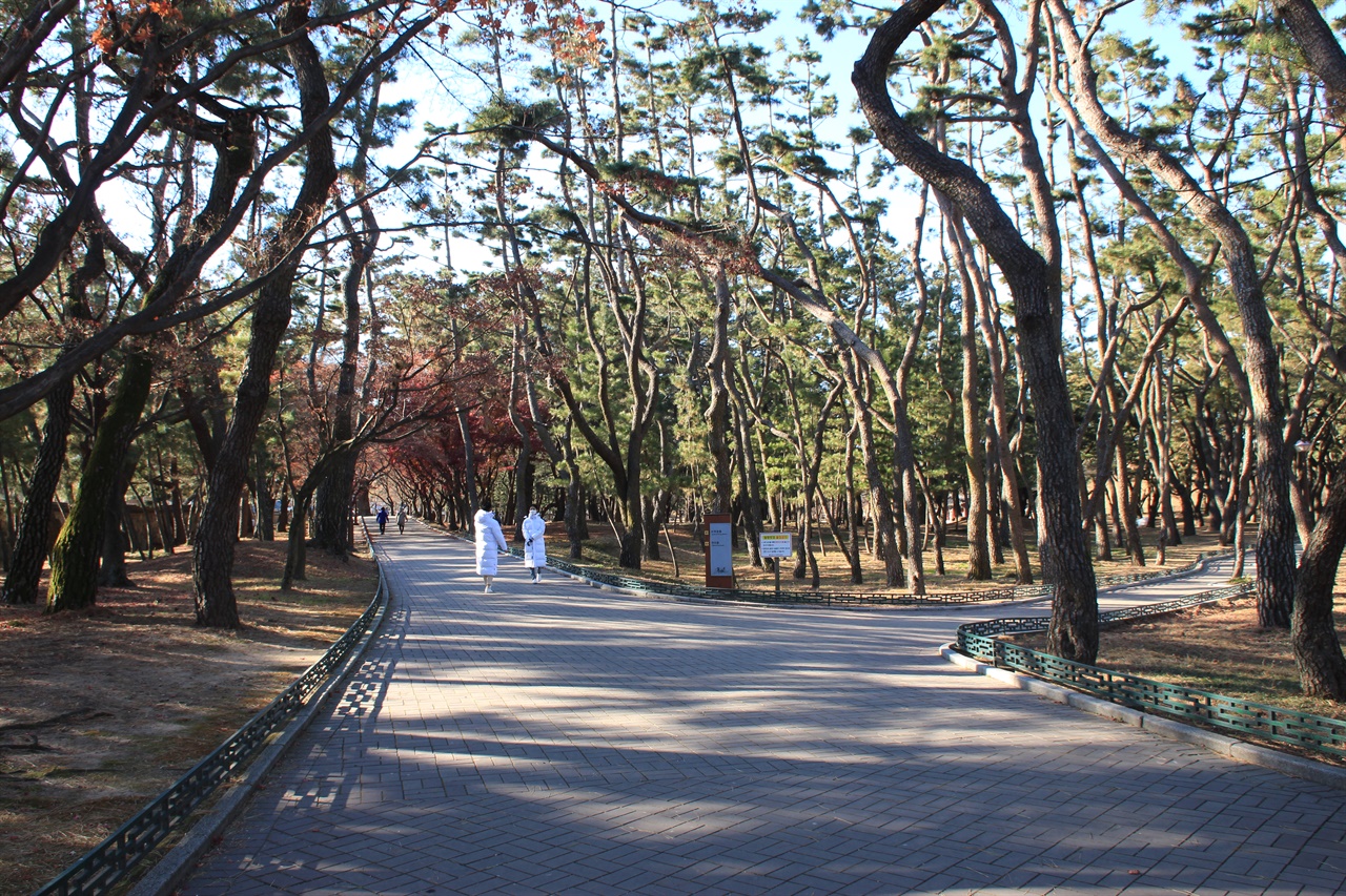  경주 대릉원 입구에 있는 산책코스 모습