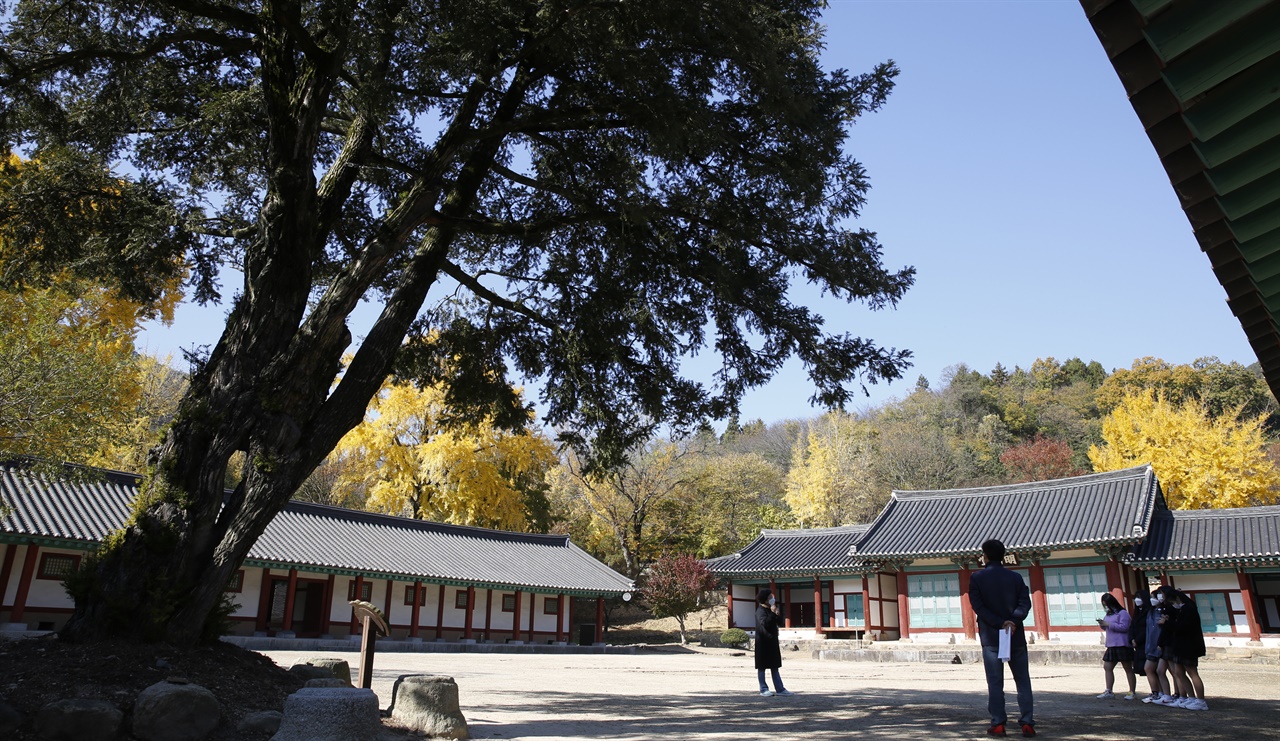  수령 400년 된 비자나무와 어우러진 명륜당. 향교를 찾은 학생들이 나주문화관광해설사의 설명을 듣고 있는 모습이다.