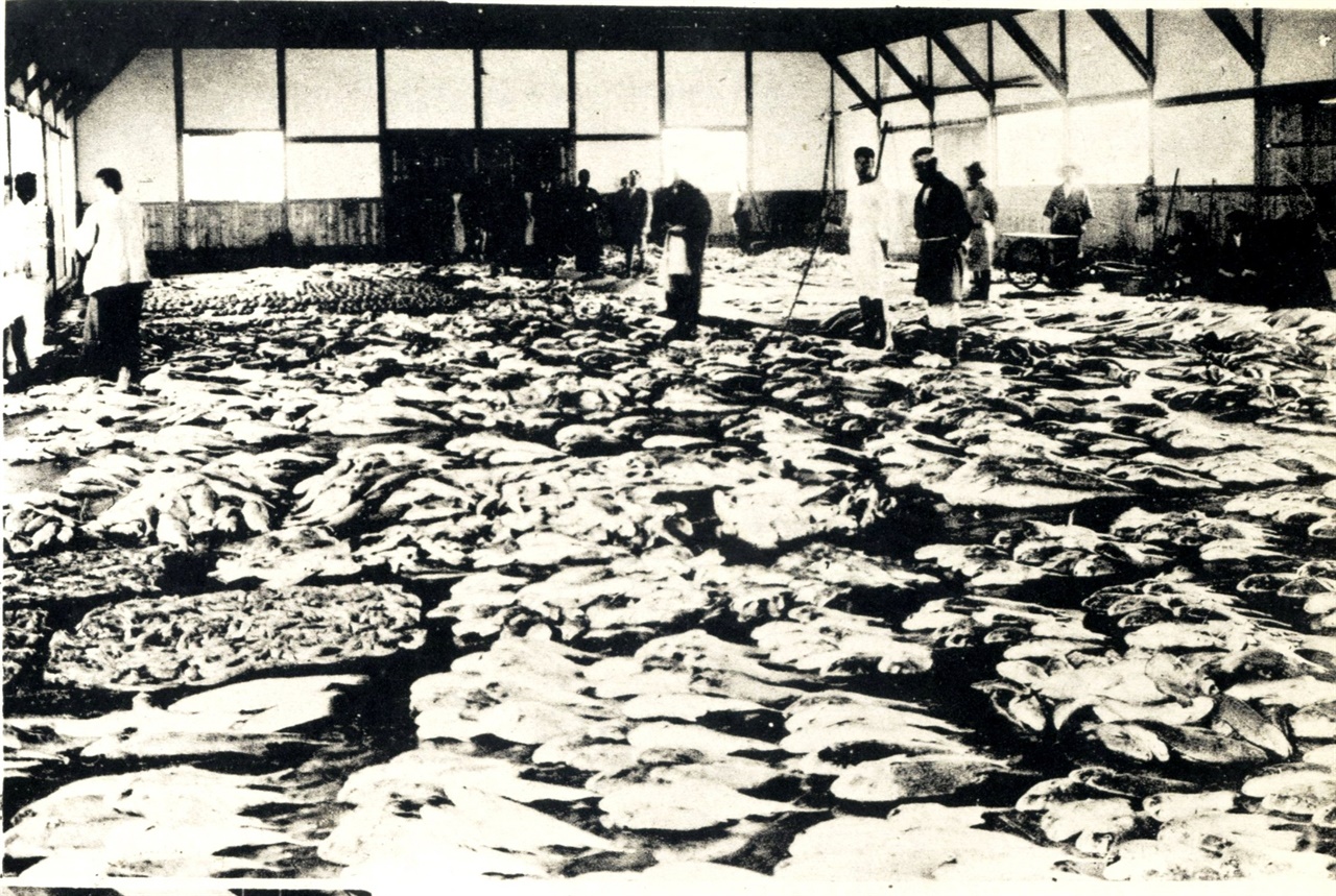  군산 어업조합 공판장(군산 부영 수산시장 1935)