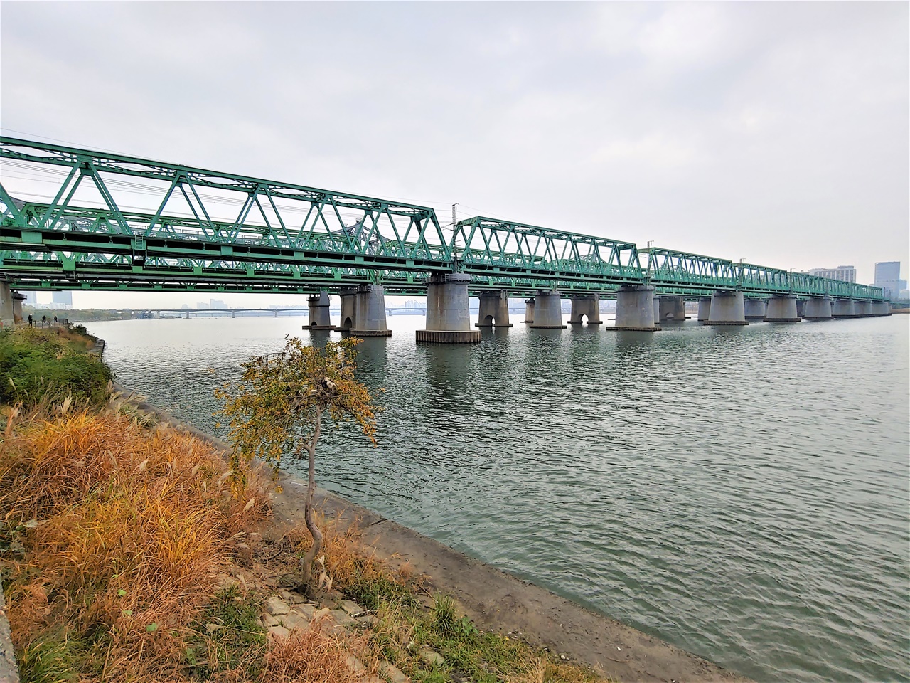한강철교 모습 총 4개의 트러스교로 이뤄진 한강철교 모습이다. 서울역과 용산역을 지나는 모든 철도가 이 다리를 건너 한강 이남으로 뻗어 나간다. 서럽고 쓰린 우리 근현대사를 오롯하게 껴안고 있는 다리다.