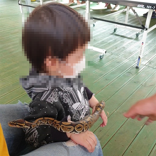  한 캠핑장에서 진행된 동물 체험 행사에서 아이 손 위로 뱀이 지나가고 있다. 
