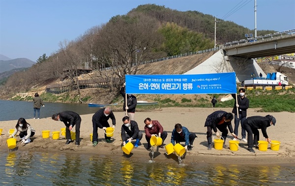  하동 화개천 어린 은어·연어 방류.