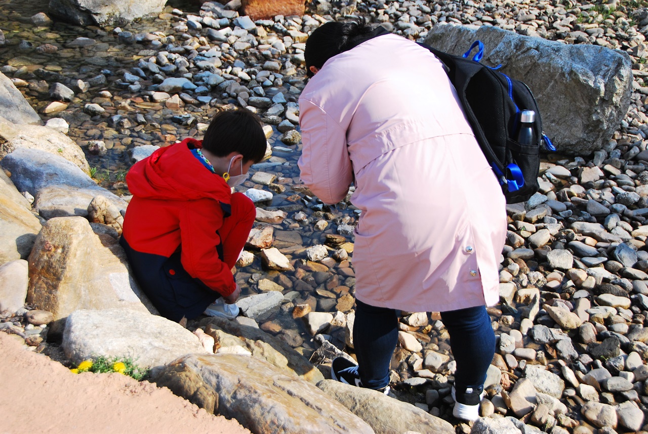  엄마와 학교 숙제를 하려고 '은개골 역사공원'을 찾은 초등학생이 올챙이를 관찰하고 있다.