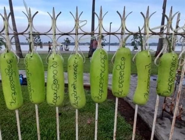  미얀마 민주화 시위. 호박에 구호 표시.
