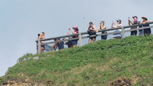 등대앞에서 많은 관광객이 태평양을 사진에 담고 있다.