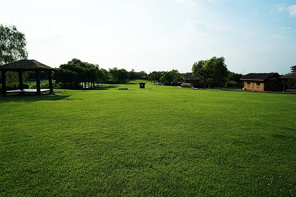 노을공원의 잔디