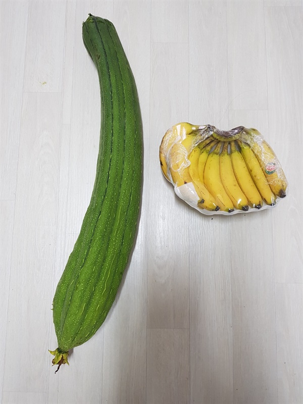 크기를 가늠하시기 편하게 바나나와 일부러 같이 찍었다.