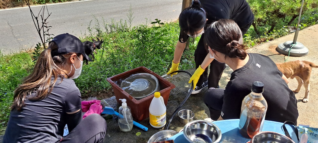보호소 유기견들의 식기를 닦고 있는 자원봉사자들 