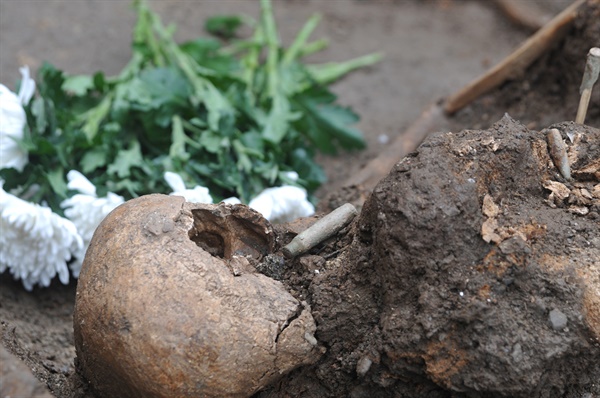 2015년 초 대전 산내 골령골에서 진행되었던 유해발굴 현장의 모습. 드러난 유해의 두개골 옆으로 M1 탄피와 탄두가 놓여 있고, 그 뒤편으로 누군가 놓은 국화 한 다발이 놓여 있다.