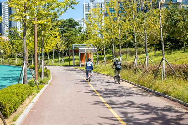 청라호수공원 자전거 도로는 보행자 전용 산책로와 경계가 명확히 분리돼 있어 안전하고 쾌적하게 즐길 수 있다.