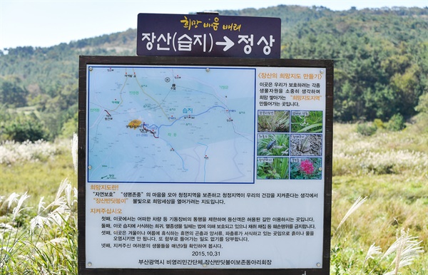 국내 1호 구립공원으로 지정된 부산 해운대 장산.