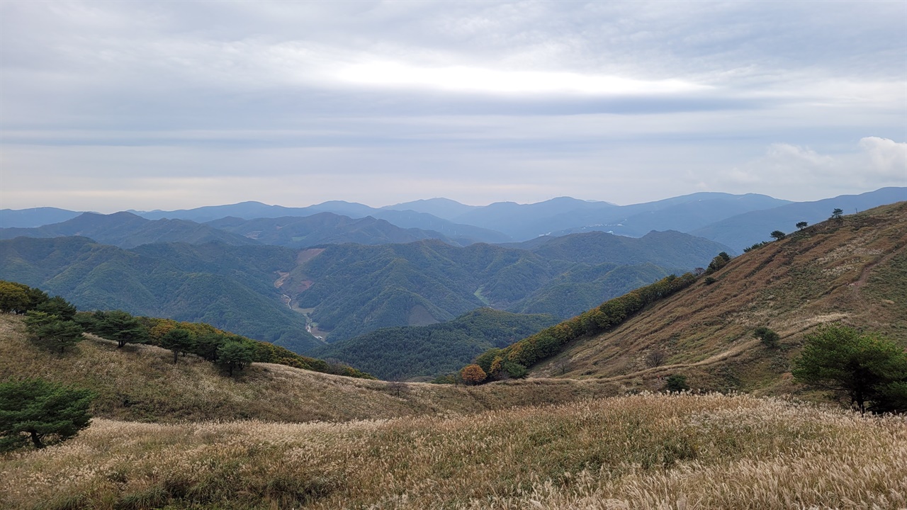 대한민국에서 가장 높은 곳에 있는 20만 평의 억새밭. 골짜기 사이의 임도와 밭구덕마을이 보인다.