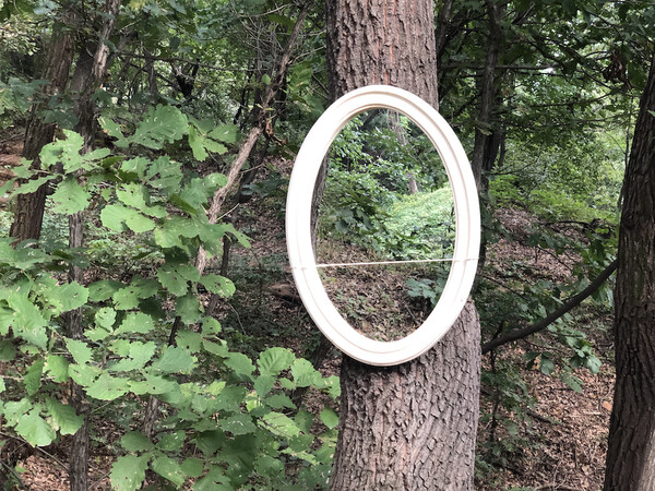 누군가 나무에 걸어 놓은 거울