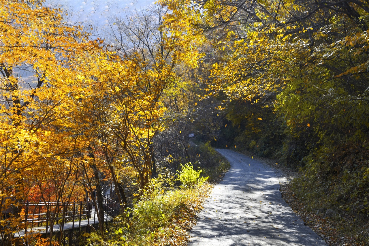 가을 절정의 지리산 뱀사골에서는 단풍이 흩날리는 풍경을 하루 종일 볼 수 있었다.