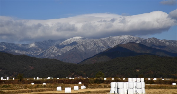 11월 11일 남덕유산에 내린 눈.