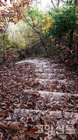 의주로 구간의 계단숲길.