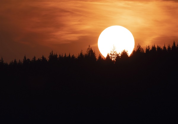 지난해 10월 2일 캐나다 브리티시 컬럼비아주 노스밴쿠버의 한 산꼭대기에 있는 나무 실루엣, 남쪽에서 난 산불로 인해 강화된 색의 태양과 하늘이 보이고 있다. (사진 Jonathan Hayward/The Canadian Press via AP)