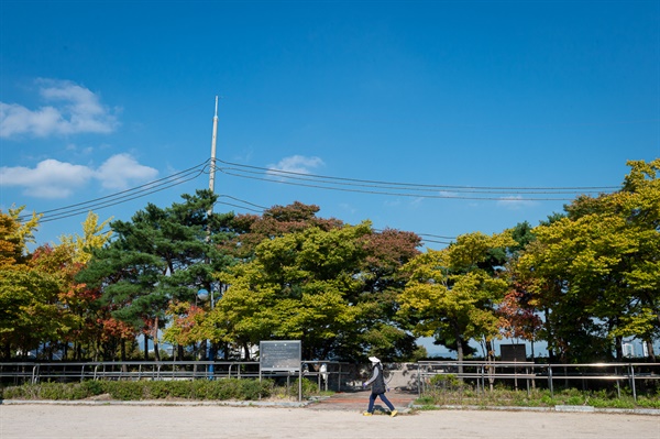 개운산 정상의 잔디광장이 가을색을 준비하고 있다.