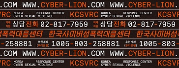 한국사이버성폭력대응센터 