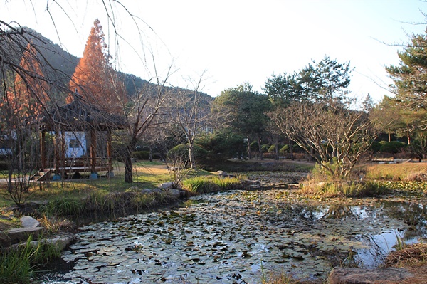 주변 경관과 어울리게 만든 경상북도 지방정원 서편에 있는 인공 연못