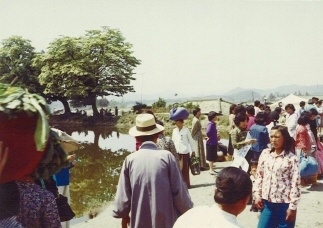 기권방지 계도운동 1979 