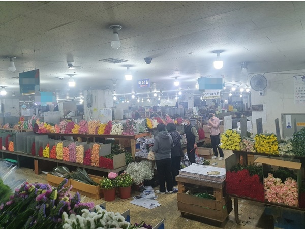 10일 새벽 꽃시장을 찾은 소비자들이 꽃을 고르고 있다
