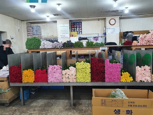 10일 새벽 꽃 시장에 진열되어 있는 생화. 최근 생화값이 폭등하면서, 꽃집 주인들은 걱정이 이만저만이 아니다.
