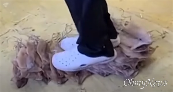 경북 영덕군의 한 건조 오징어 판매업체에서 직원이 오징어를 바닥에 놓고 흰 신발을 신은 채 밟고 있는 영상이 온라인 커뮤니티에 올라와 논란이 일었다.