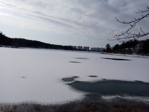 집 근처 겨울 호수공원은 생각을 정리할 수 있게 한다.