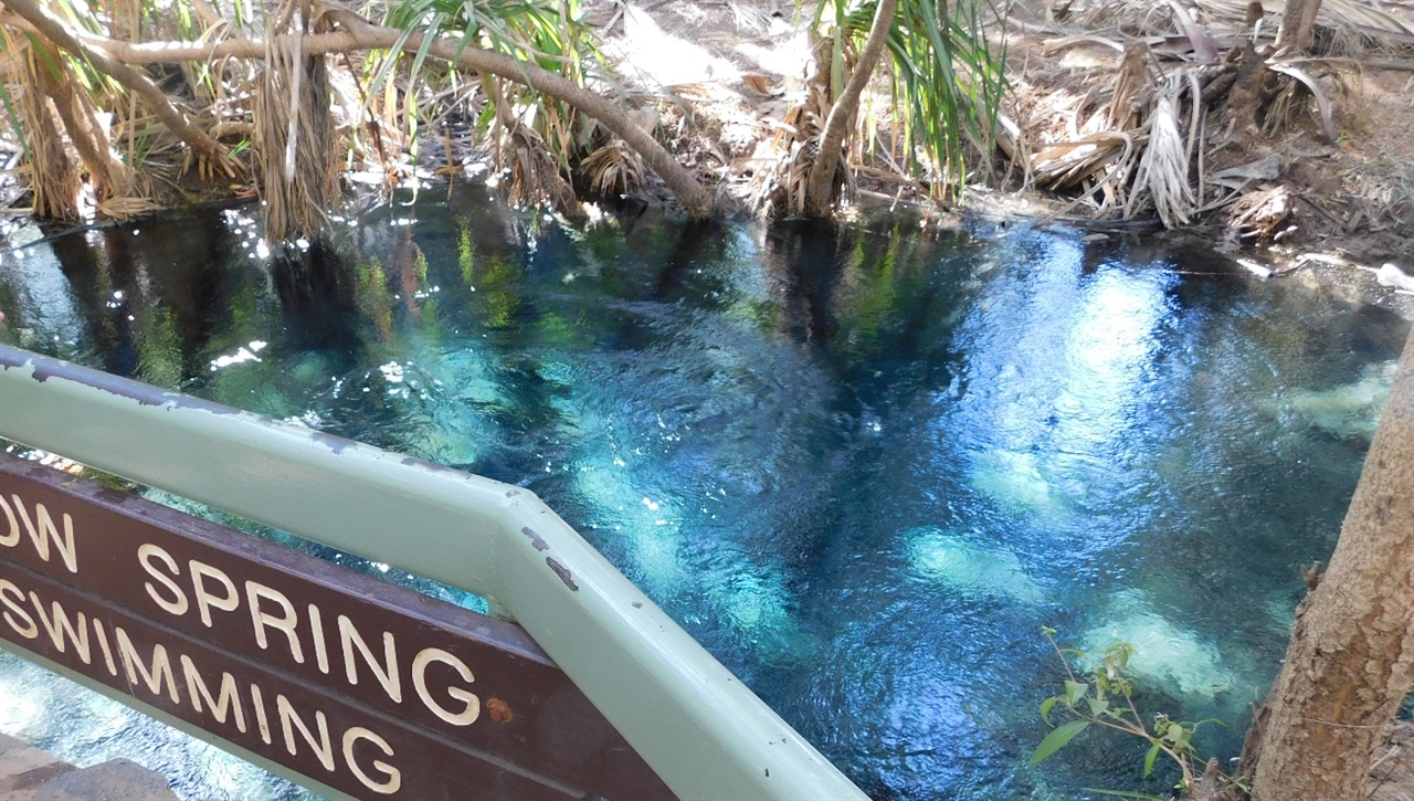 온천물이 솟아오르는 스프링 풀(Spring Pool), 이곳에서 나온 온천물이 개울이 되어 흐른다.