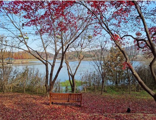 가을에 아름다운 단풍과 함께 호수를 바라본다