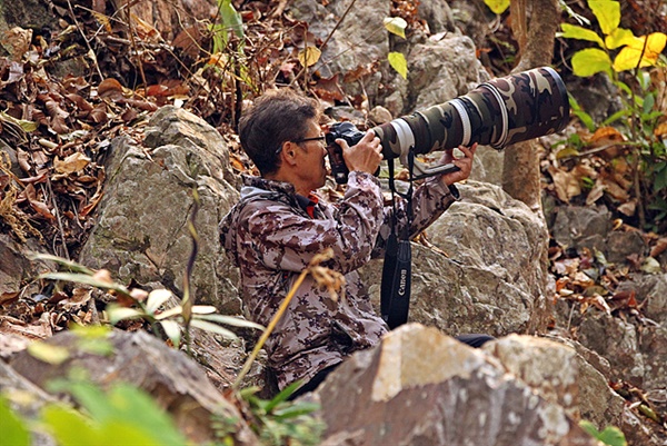 이용상씨가 태국 치앙마이에서 회색머리노랑딱새를 촬영하고 있다. 망원렌즈와 바디를 포함하면 2500만원쯤 든다고 한다