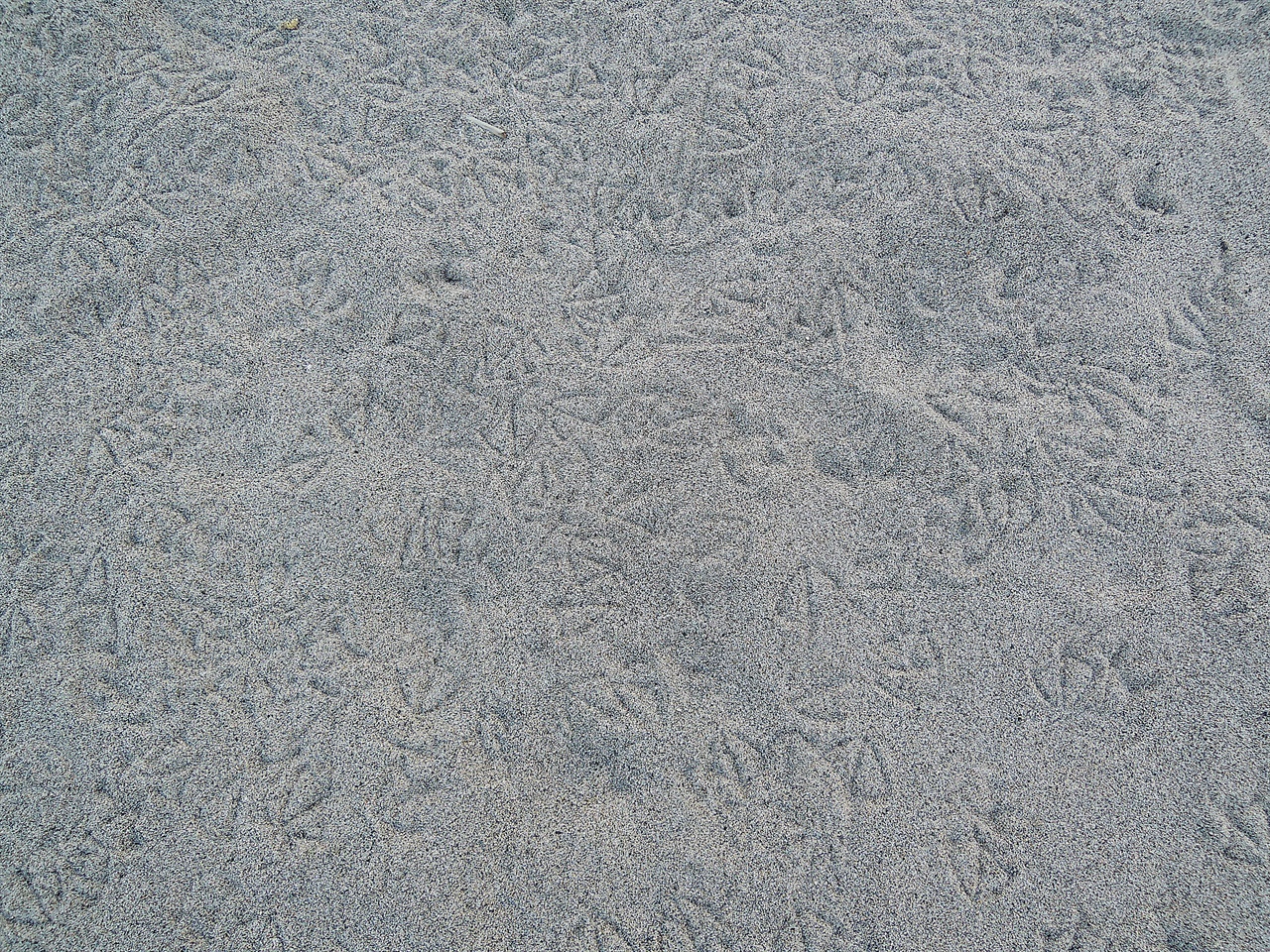 경주 문무대왕릉 해변가 갈매기 발자국 모습