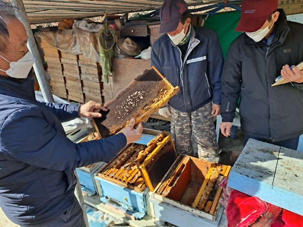 22일 김성철 한국양봉협회 여수지부장과 회원들이 여수 해산동의 한 양봉 농가에 모여 꿀벌 폐사에 대한 대책을 논의하고 있다.