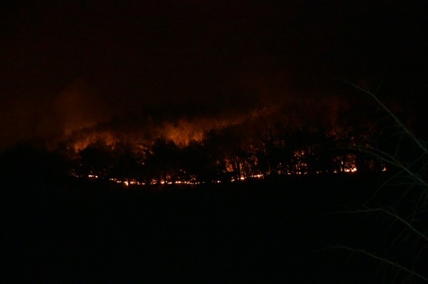 2월 28일 오후 경남 합천과 경북 고령에서 산불이 발생했다.