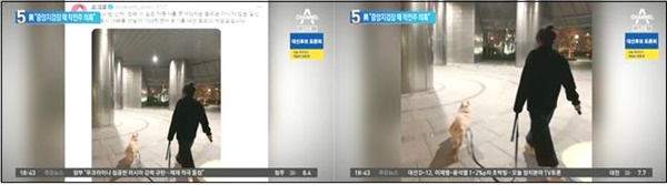 반려견과 산책하는 김건희 씨 뒷모습 보여주며 공식행보 예측한 채널A(2/25)