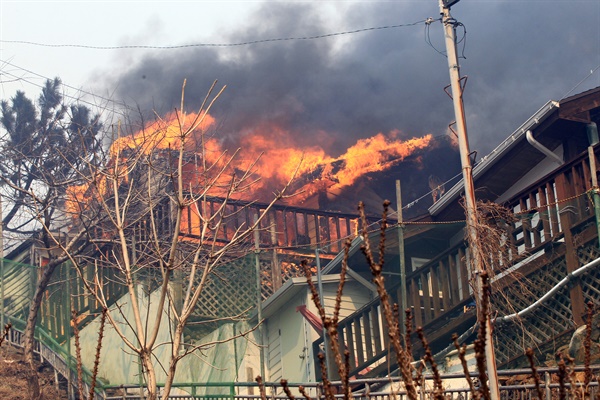 4일 오후 강릉시 옥계면에서 발생한 산불이 동해시까지 확산한 5일 묵호항 인근 주택가에서 화마가 덮친 한 주택이 불타고 있다.