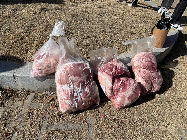 3월 5일 준비해온 돼지고기. 이 돼지고기를 낙동강의 둔치에 놓아주면 몇 시간 뒤 독수리들이 내려와 이 고기를 먹게 된다. 