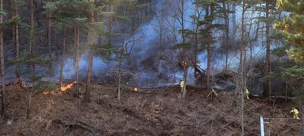 6일 강원 삼척시 원덕읍에서 소방대원들이 산불을 진화하고 있다. 