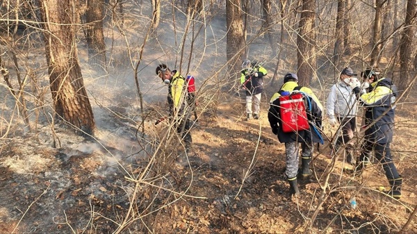 울진산불이 4일째 이어지고 있는 가운데 원덕읍 노경리 일대 야산의 산불을 의용소방대원들이 진압하고 있다.
