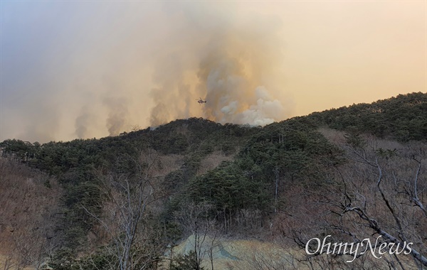 경북 울진에서 발생한 산불이 5일째 계속 확산되고 있다.
