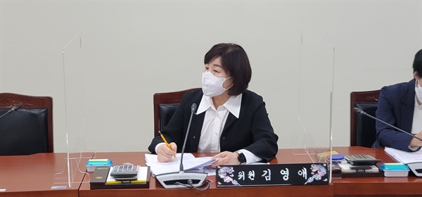김영애 위원이 “의회 안내책자가 남지 않도록 부수를 책정해 달라”고 당부하고 있다.