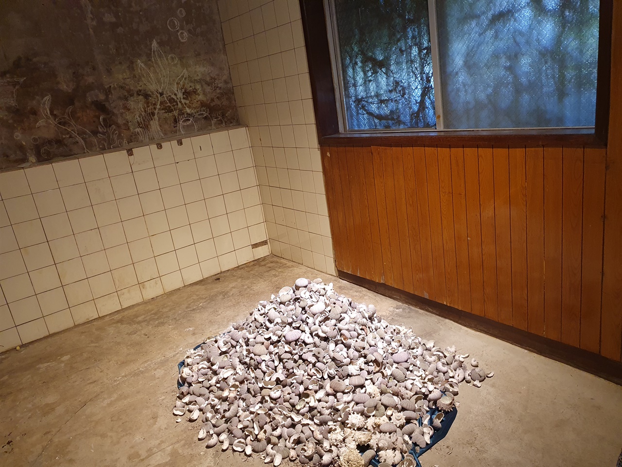 전시실 바닥에 수북이 쌓인 성게 껍데기의 잔해들은 관객이 밟을 수 있다.