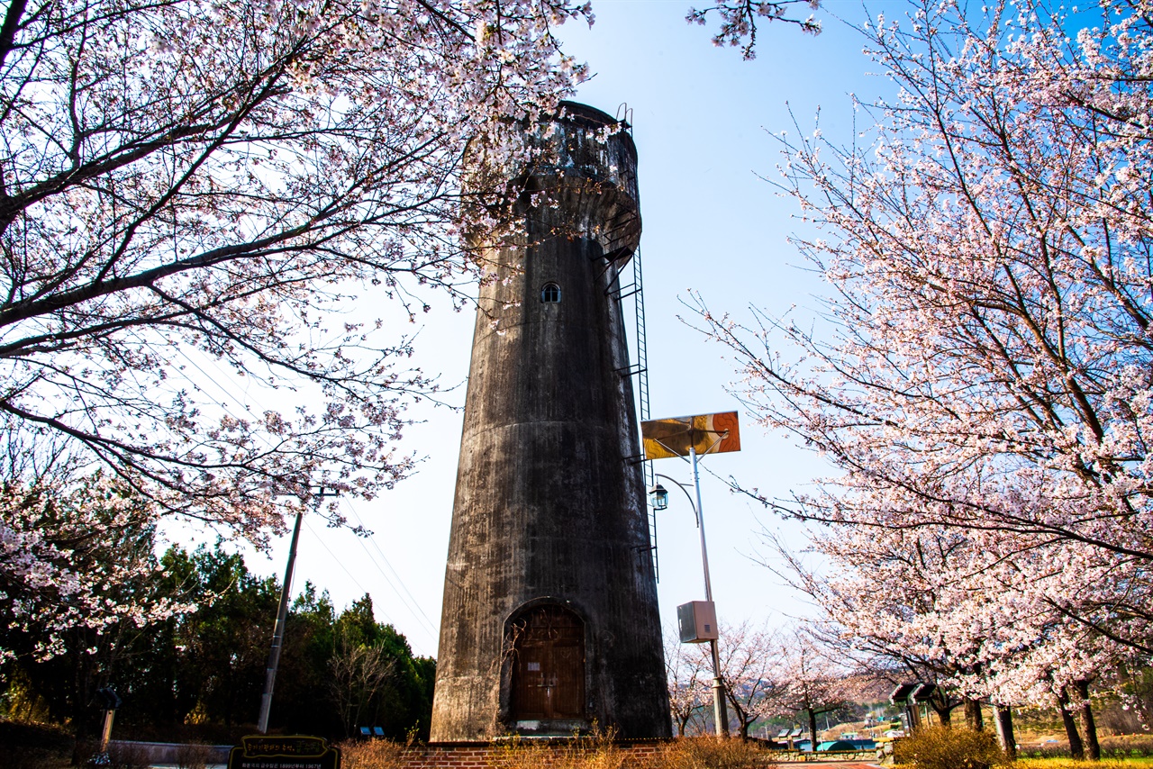 벚꽃이 둘러진 화본역 급수탑