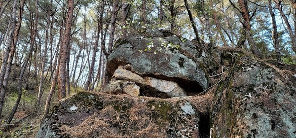 망산 정상 인근에 두꺼비 형상의 바위가 있다.