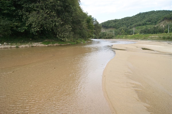 모래강 내성천. 이렇게 넓은 모래톱 위를 맑은 강물이 흘러가는 것이 전형적인 내성천의 모습이다. 